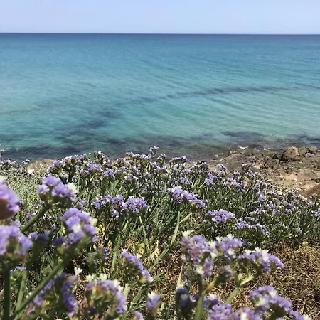 Casapiuholidaysicilia-adults Only Noto