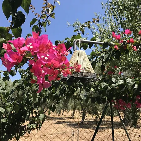 Bed & Breakfast Casapiuholidaysicilia-adults Only Noto