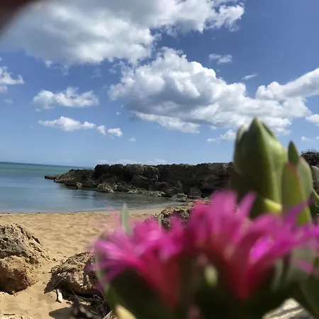 Casapiuholidaysicilia-adults Only