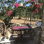 לינה וארוחת בוקר Casapiuholidaysicilia - Adults Only נוטו